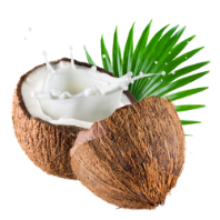 coco-2
