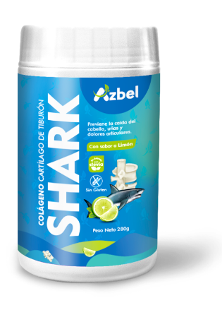 shark--1-